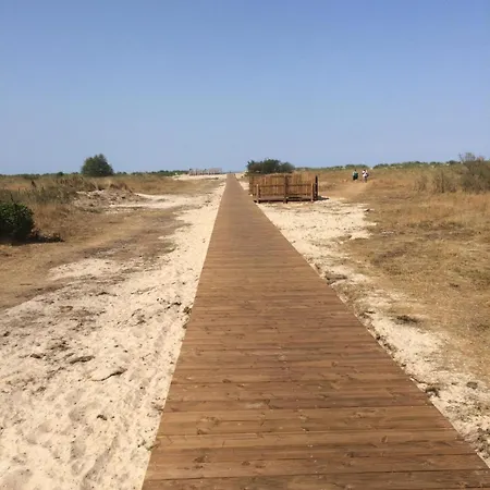 Meeresbrise 14 Apartment Schillig